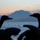 Schau mir in die Augen! Zug Richtung Pilatus