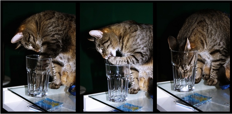 Schau nicht zu tief ins Glas.