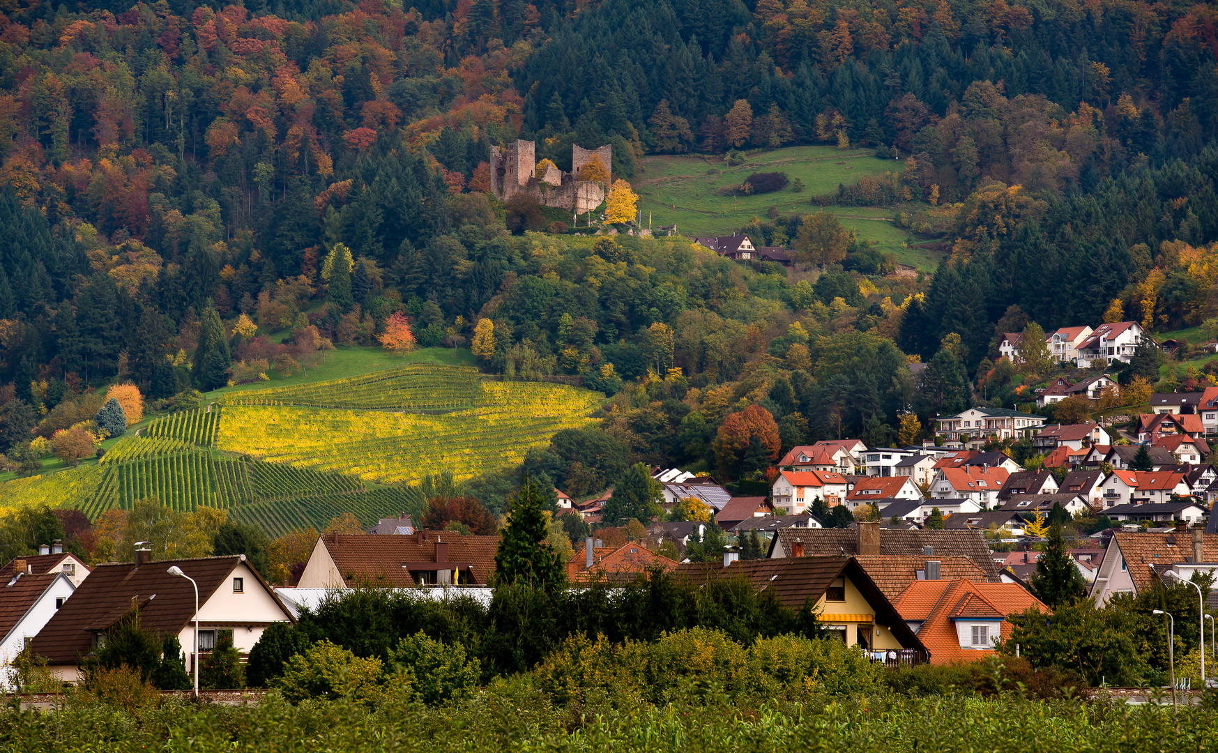 Schauenburg in Oberkirch