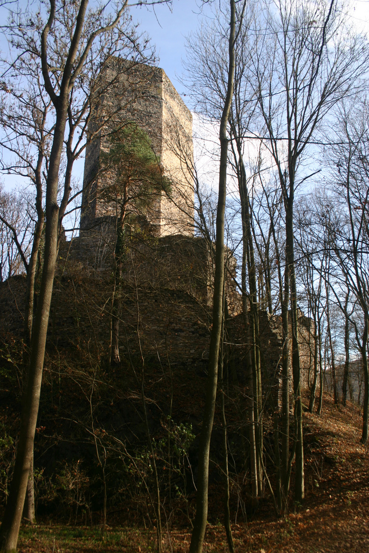 Schauenstein im österr. Kamptal