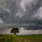 Schauerlinie über Norddeutschland