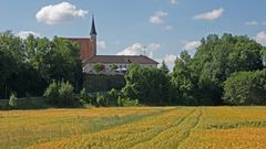 Schauersberg mit Kornfeld