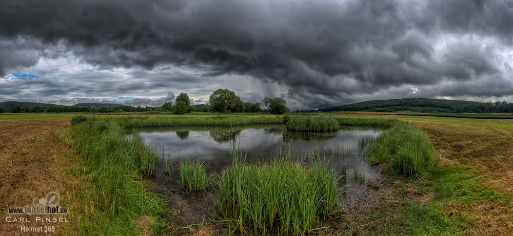 Schauerteich2