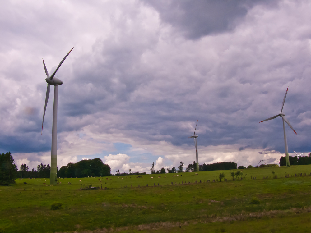 Schauerwolken am Horizont