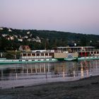 Schaufelraddampfer "Pillnitz" auf der Elbe vor dem Blauen Wunder