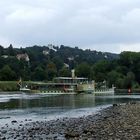 Schaufelraddampfer "Stadt Wehlen" bei Niedrigwasser auf der Elbe in Dresden