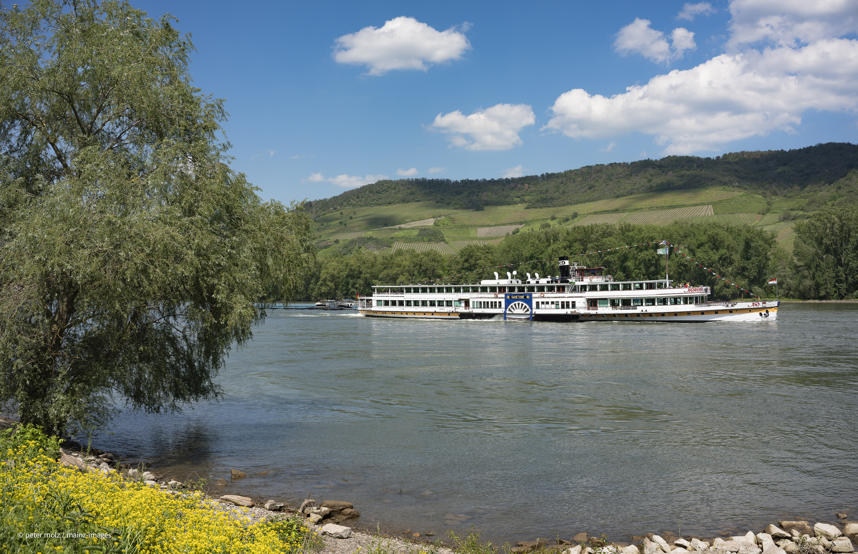 Schaufelradschiff "MS Goethe" unterwegs im Mittelrheintal 