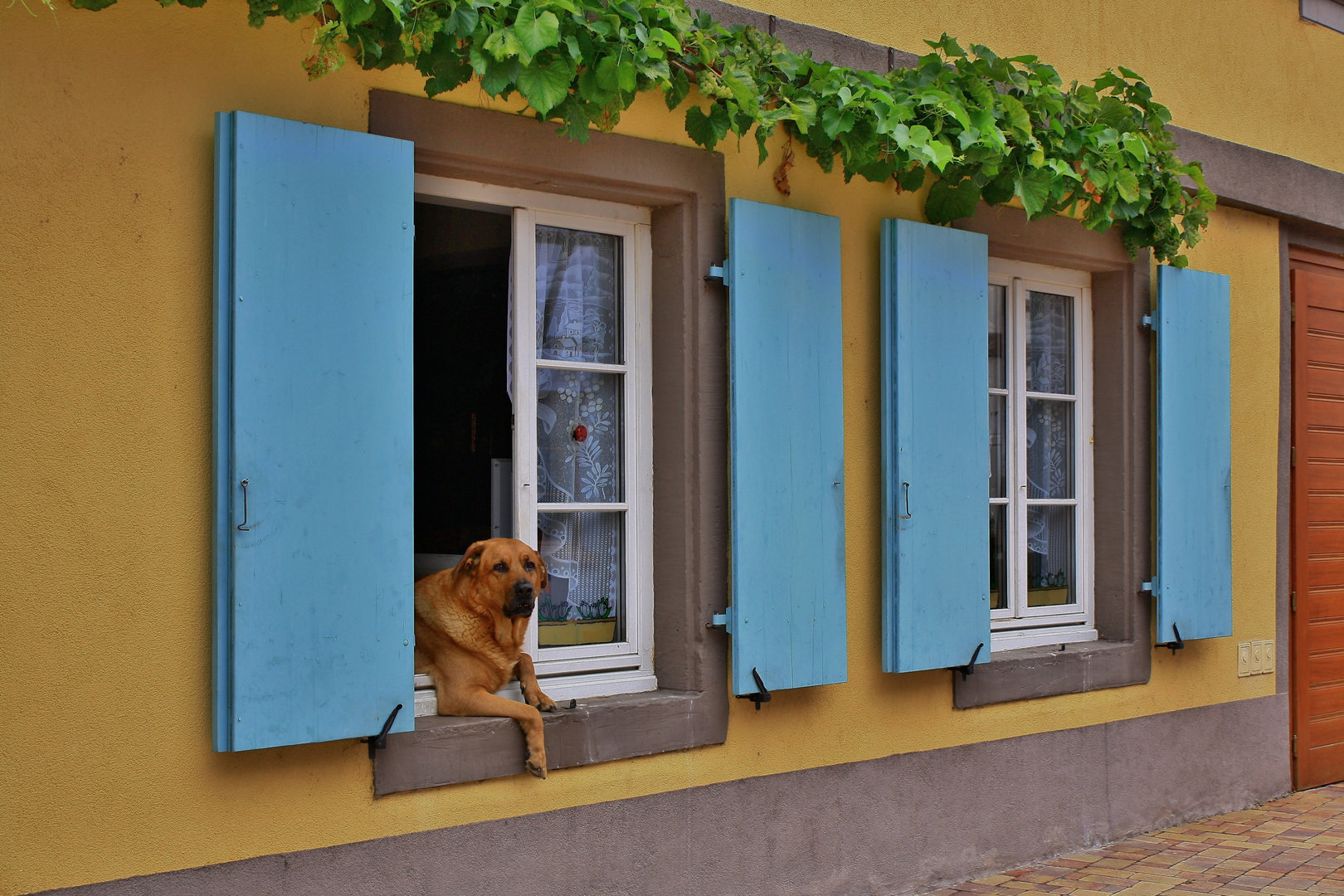 Schaufenster