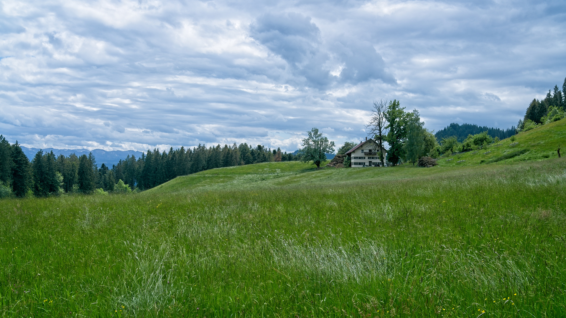 Schaufenster Allgäu