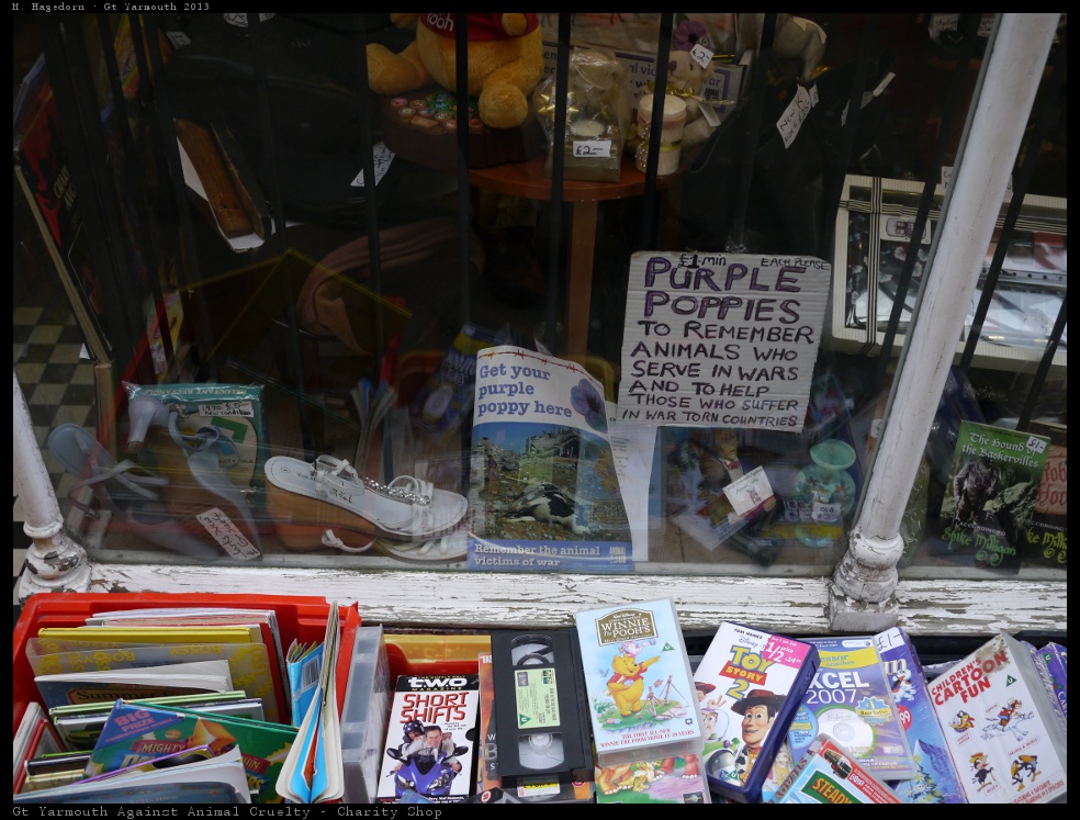 Schaufenster in Great Yarmouth