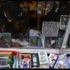 Schaufenster in Great Yarmouth