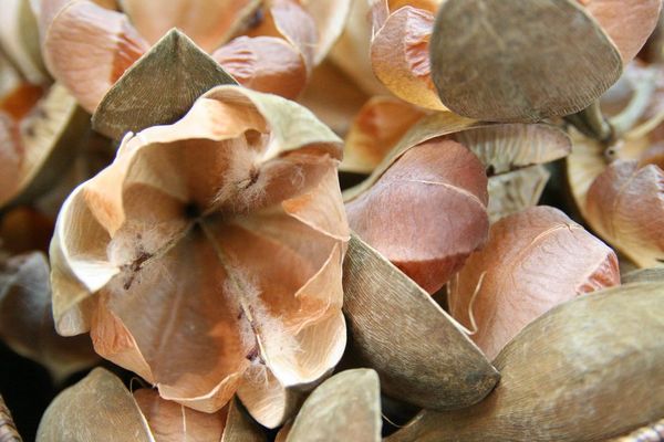 Schaufenster in Palma