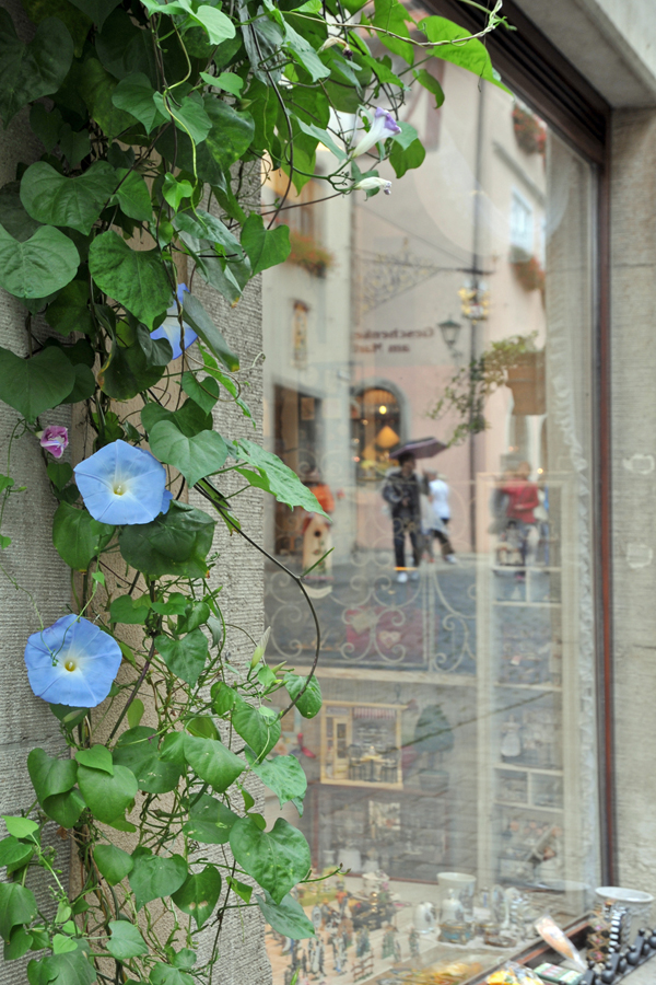 Schaufenster in Rothenburg ob der Tauber