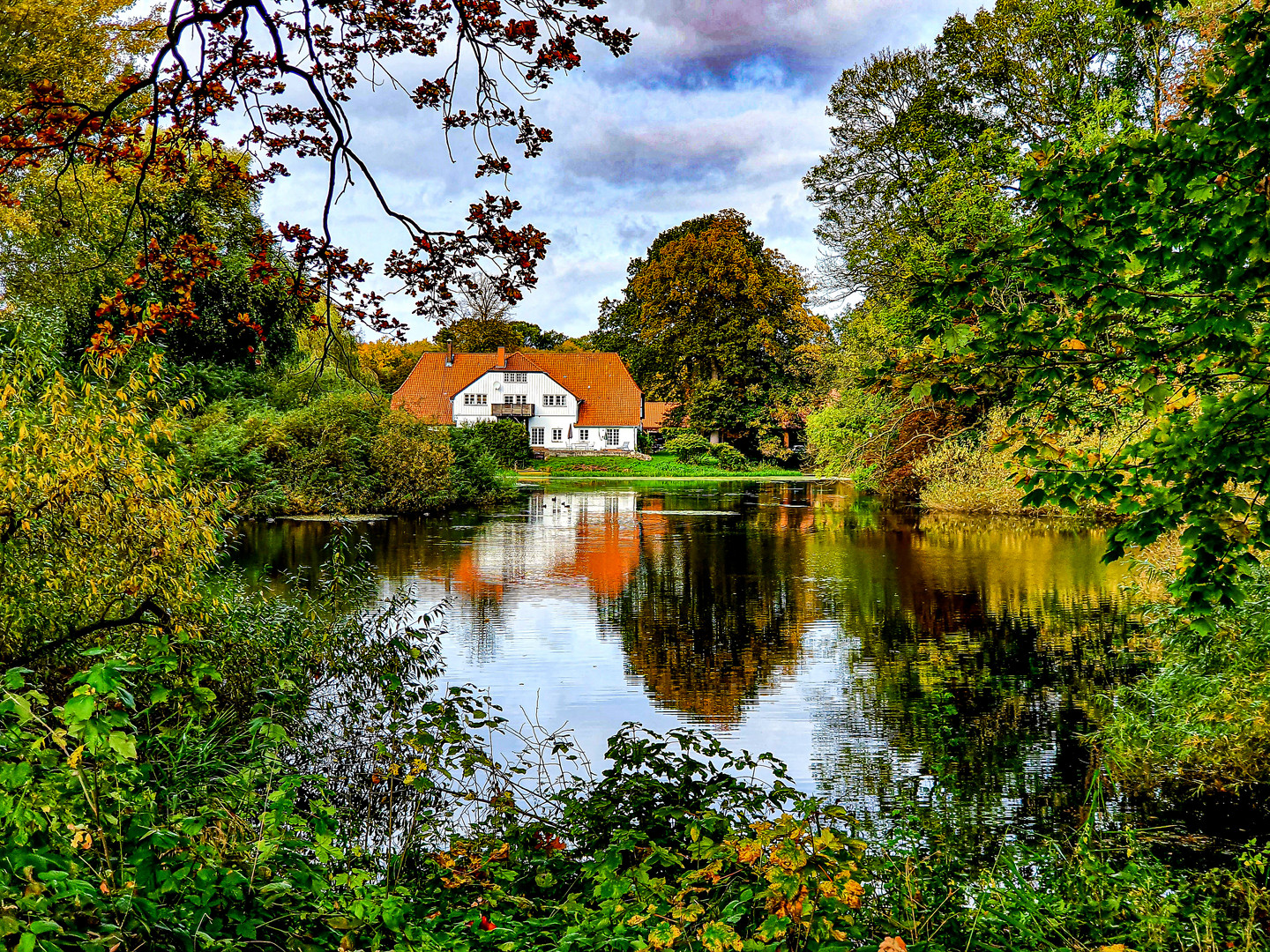 Schaufenster Natur