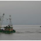 Schaufischfang vor Langeoog