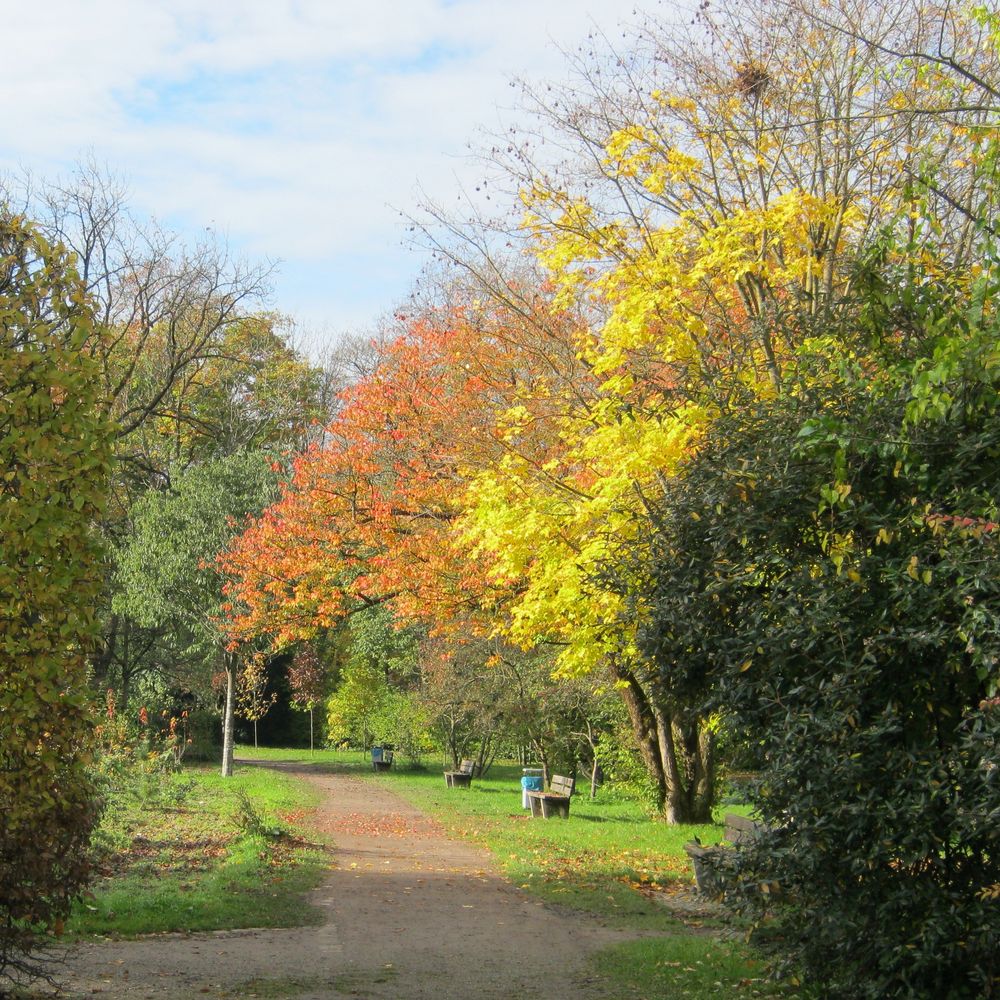 Schaugärten-der Weg