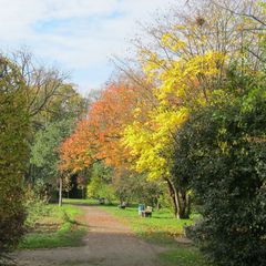 Schaugärten-der Weg