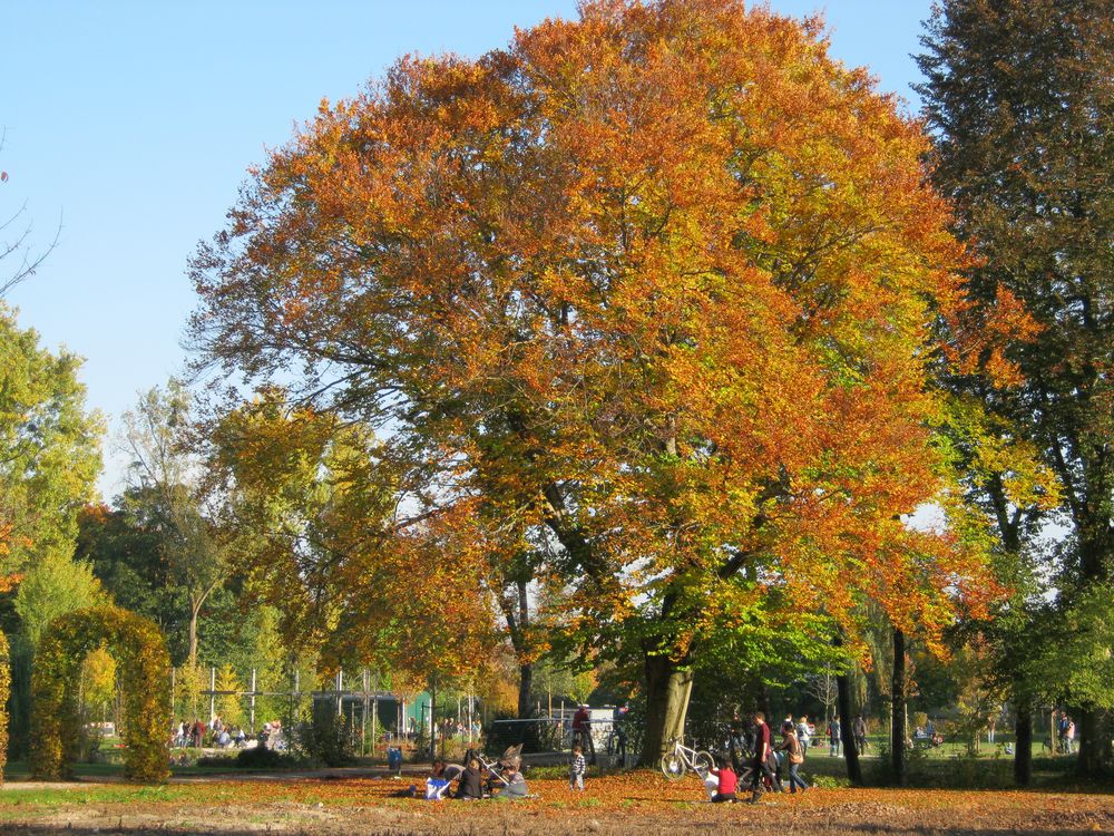 Schaugärten . München 10