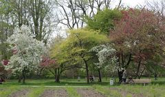 Schaugärten München Frühling 2