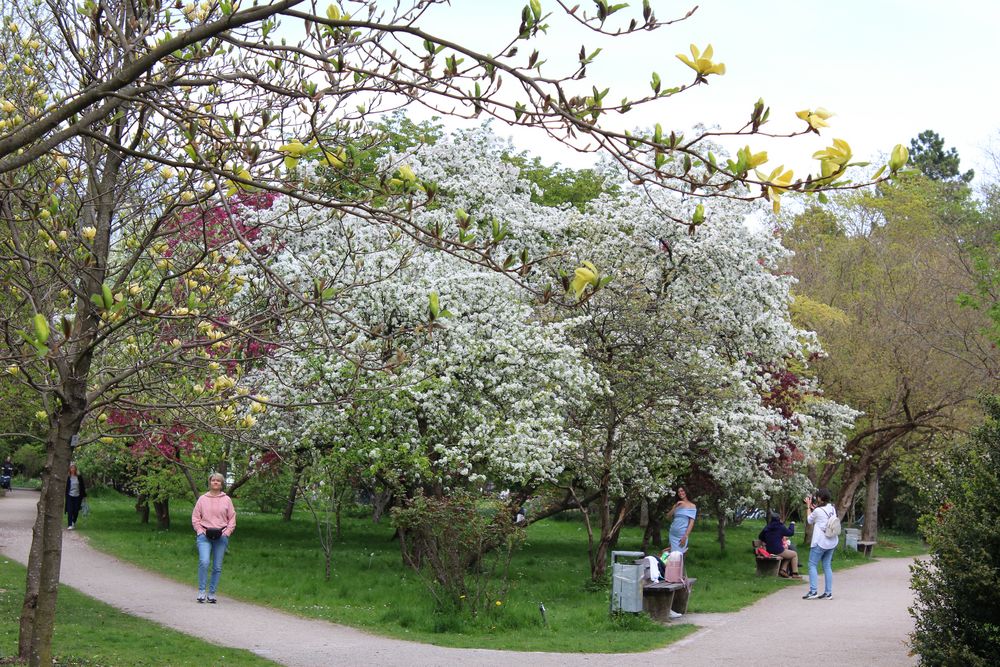 Schaugärten München Frühling 3