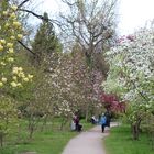 Schaugärten München Frühling 4