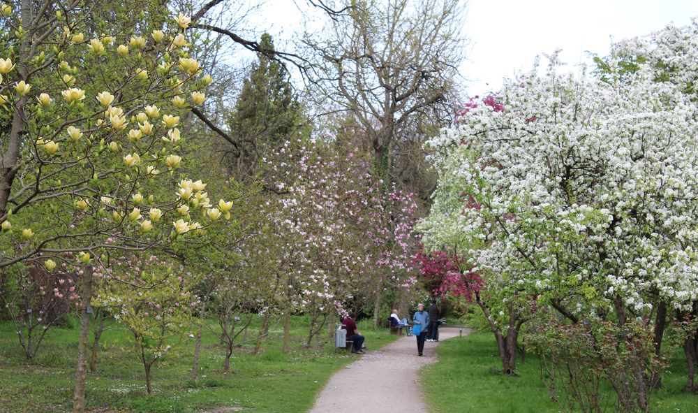 Schaugärten München Frühling 4