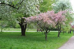 Schaugärten München Frühling1