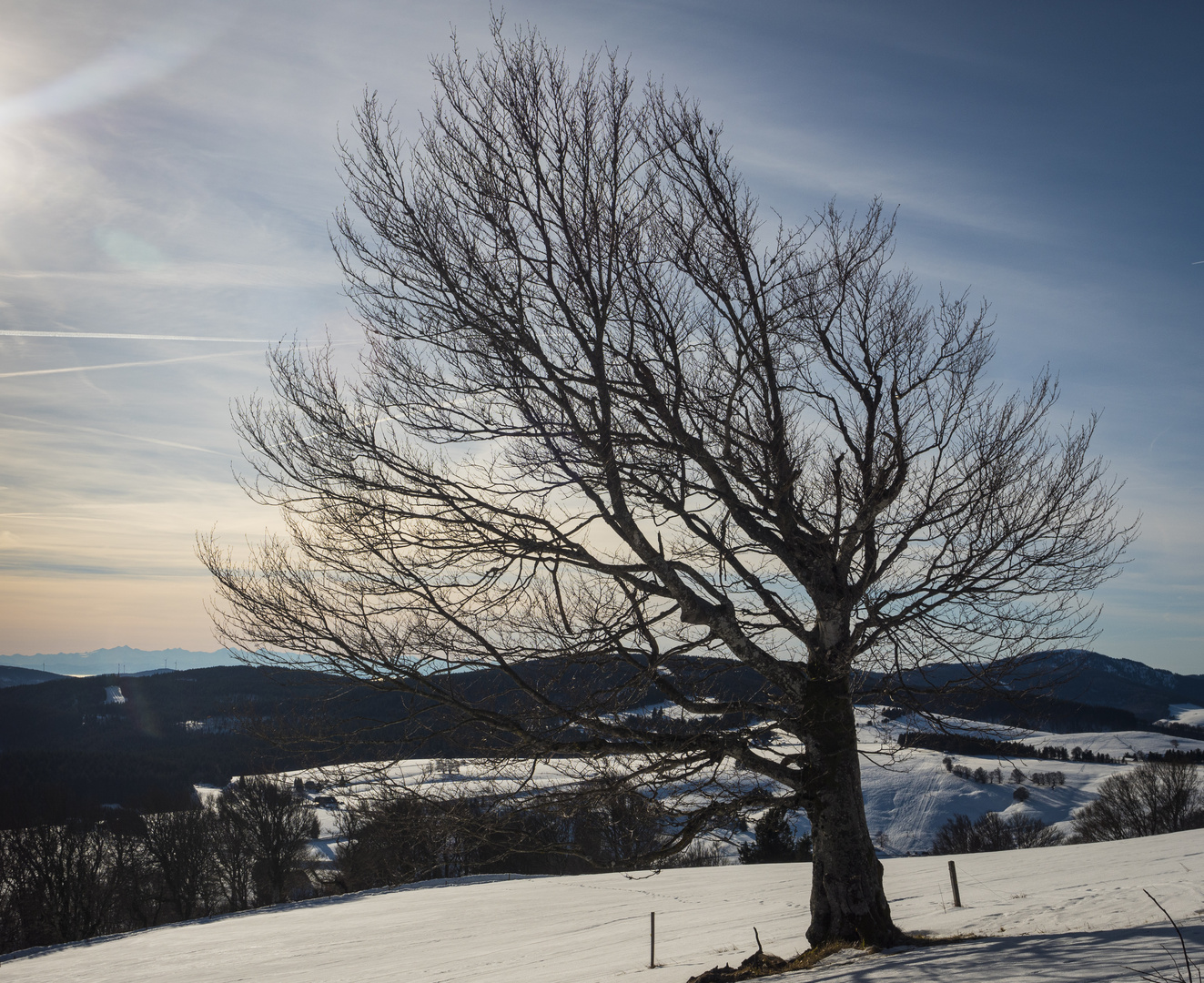 Schauinsland