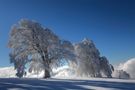 SCHAUINSLAND von Christoph Wasmer 