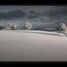 Schauinsland bei Freiburg