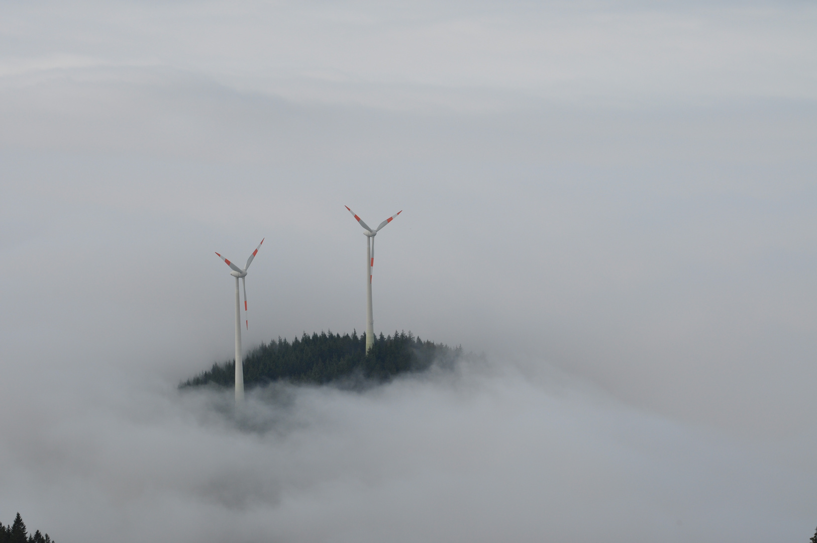 Schauinsland bei Nebel