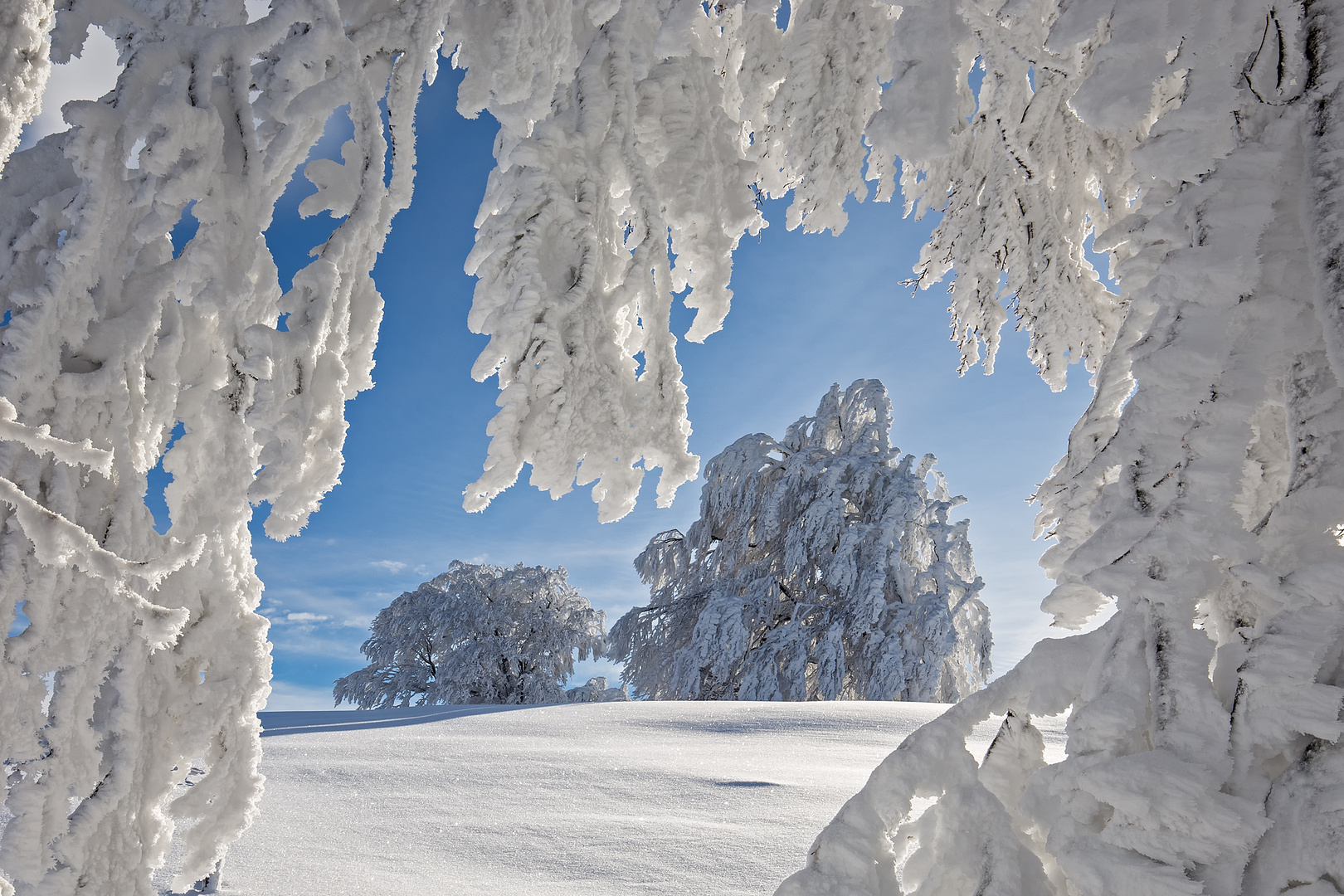 Schauinsland Foto & Bild winter, schnee, natur Bilder auf