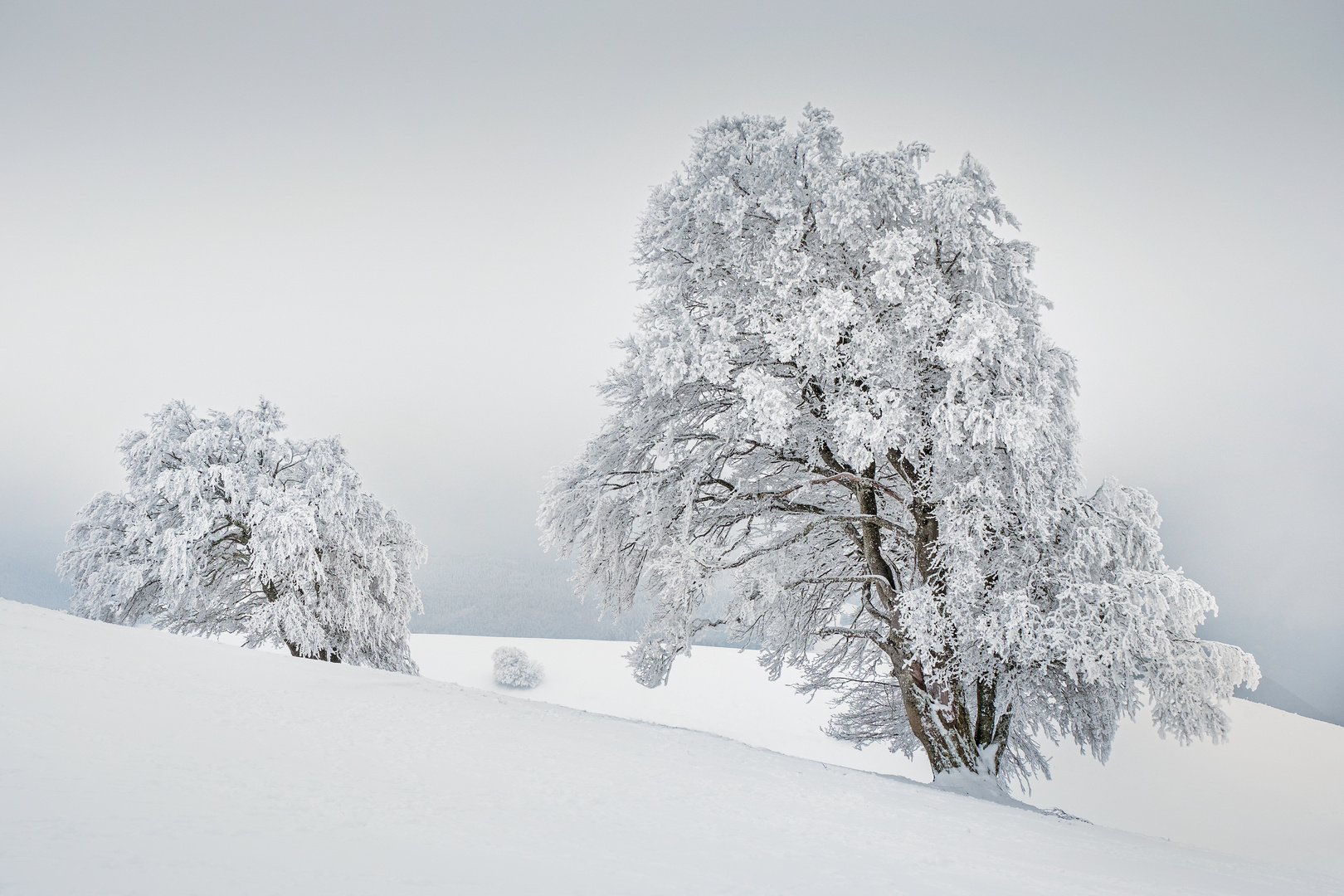 Schauinsland