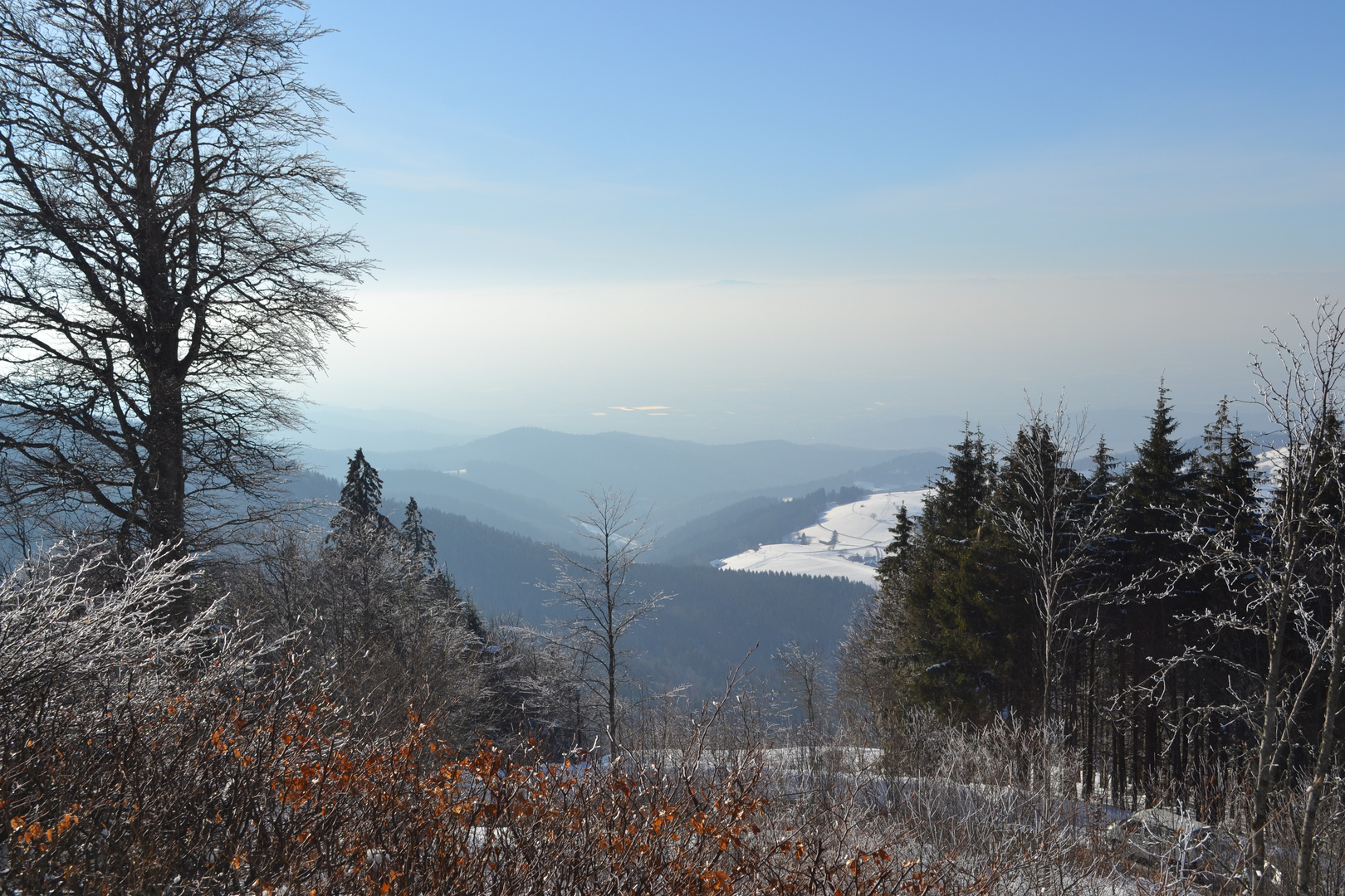 Schauinsland, Freiburg, Schwarzwald im Winter