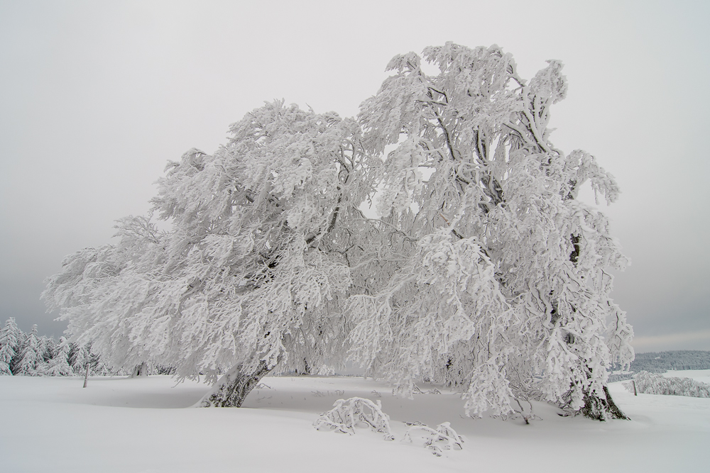 Schauinsland im Winter...