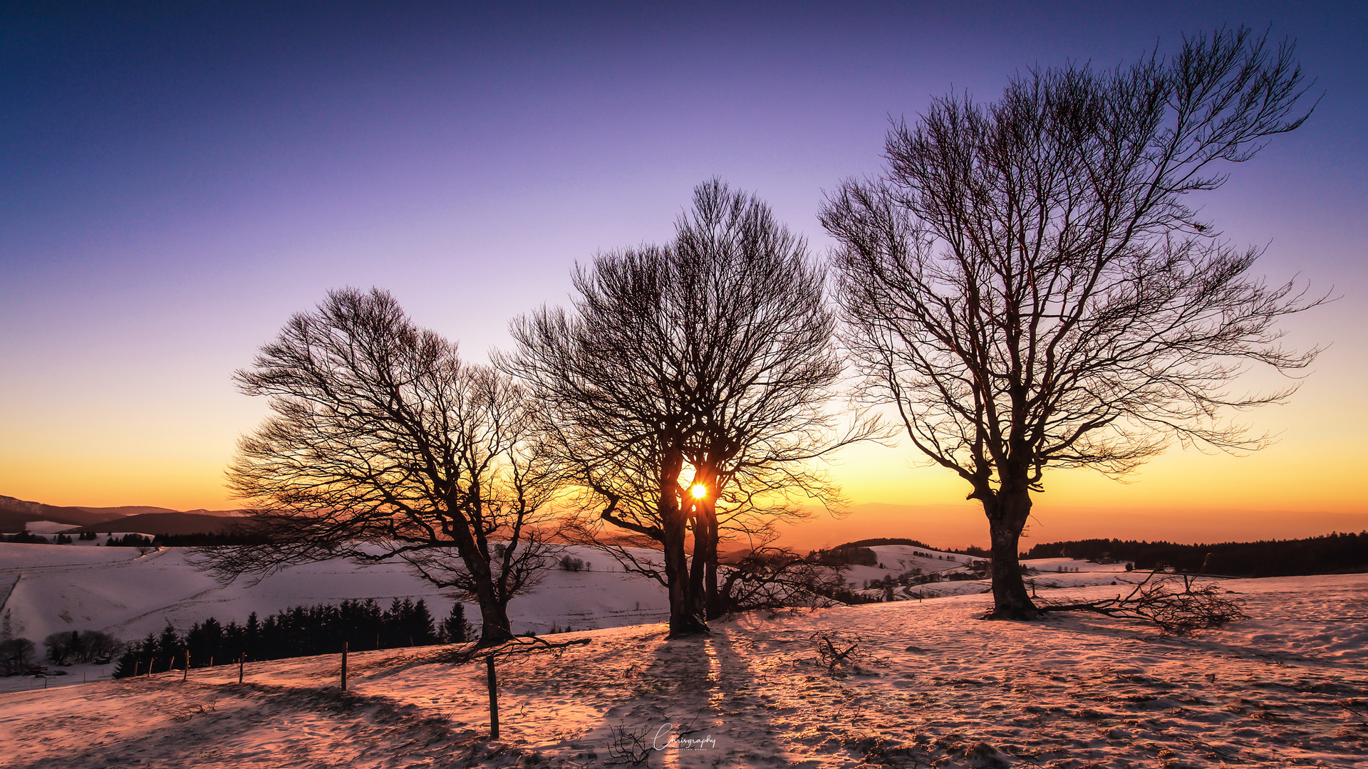 Schauinsland im Winter