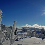 Schauinsland im Winter (im Hintergrund die vereisten Windbuchen)