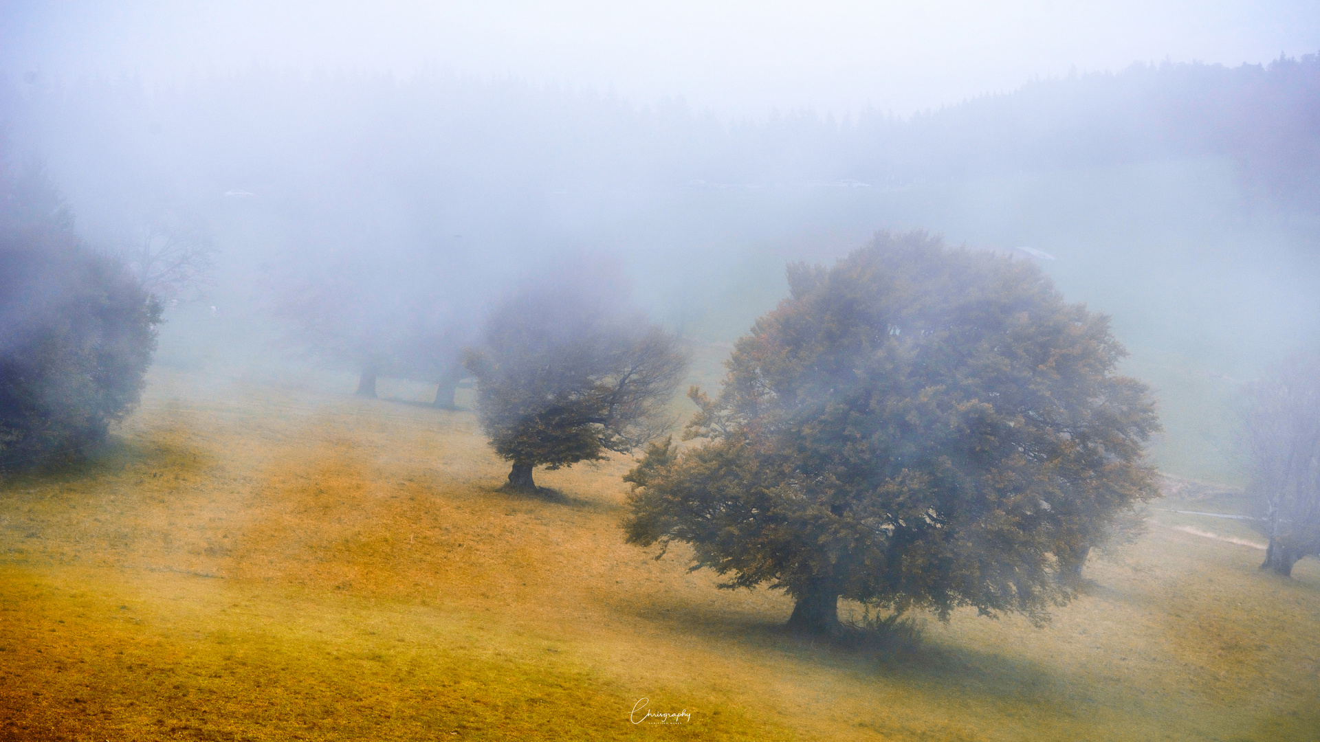 Schauinsland mit Nebel