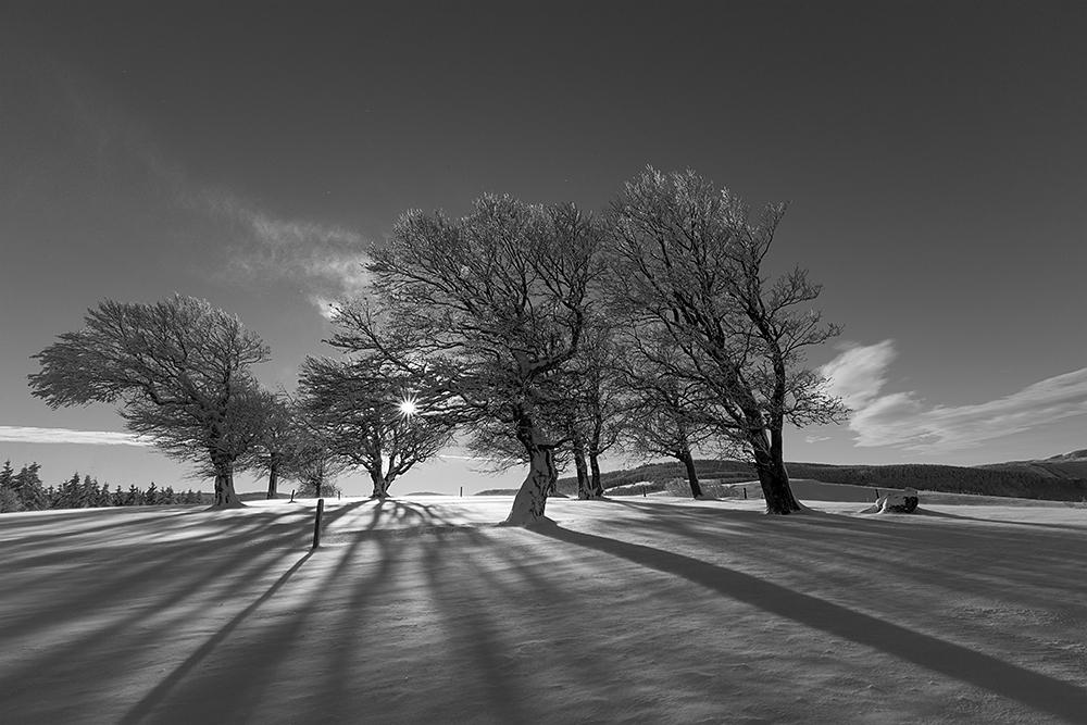 Schauinsland - Morgen