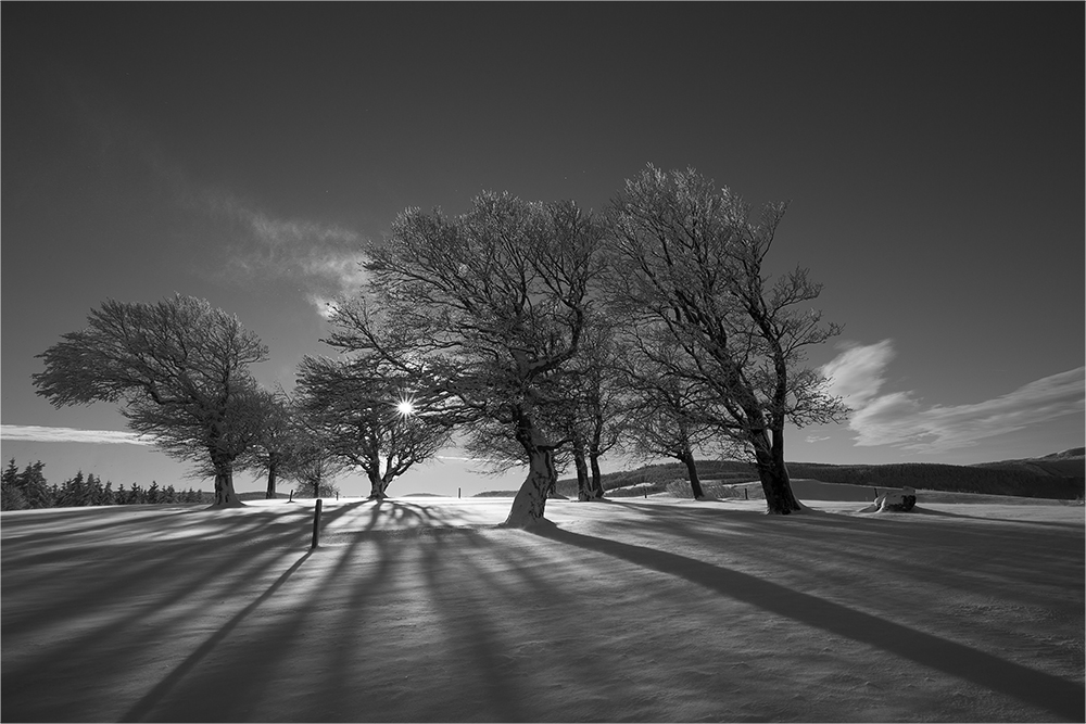 Schauinsland - Morgen