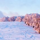 Schauinsland, Spuren im Schnee