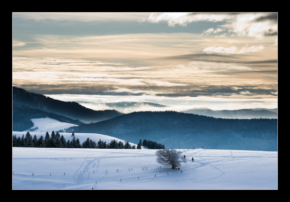 Schauinsland / Südschwarzwald