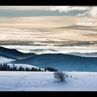 Schauinsland / Südschwarzwald