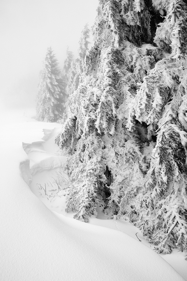 Schauinsland VII, Schwarzwald, Deutschland, 2012