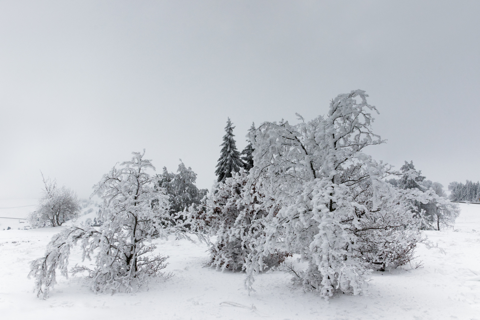 Schauinslandwinter 1