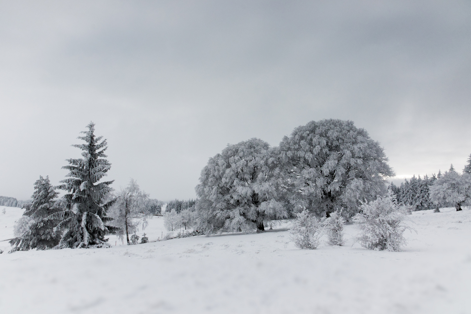 Schauinslandwinter 3