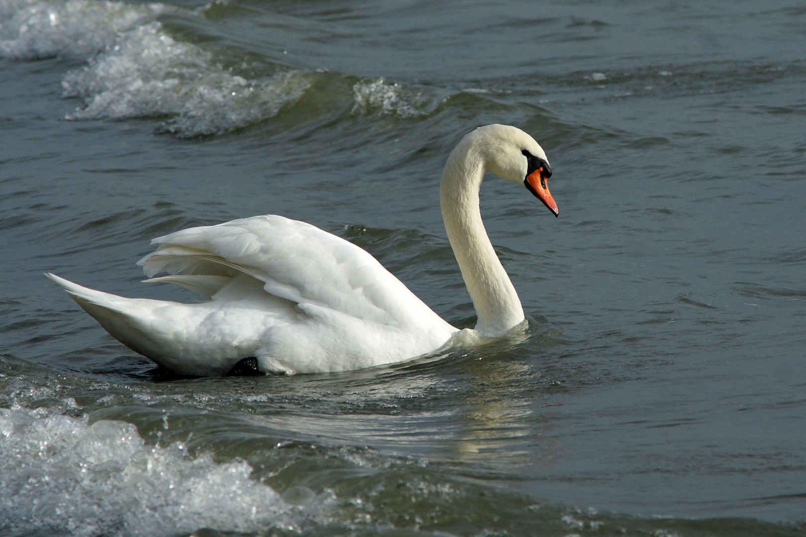 Schaukeln