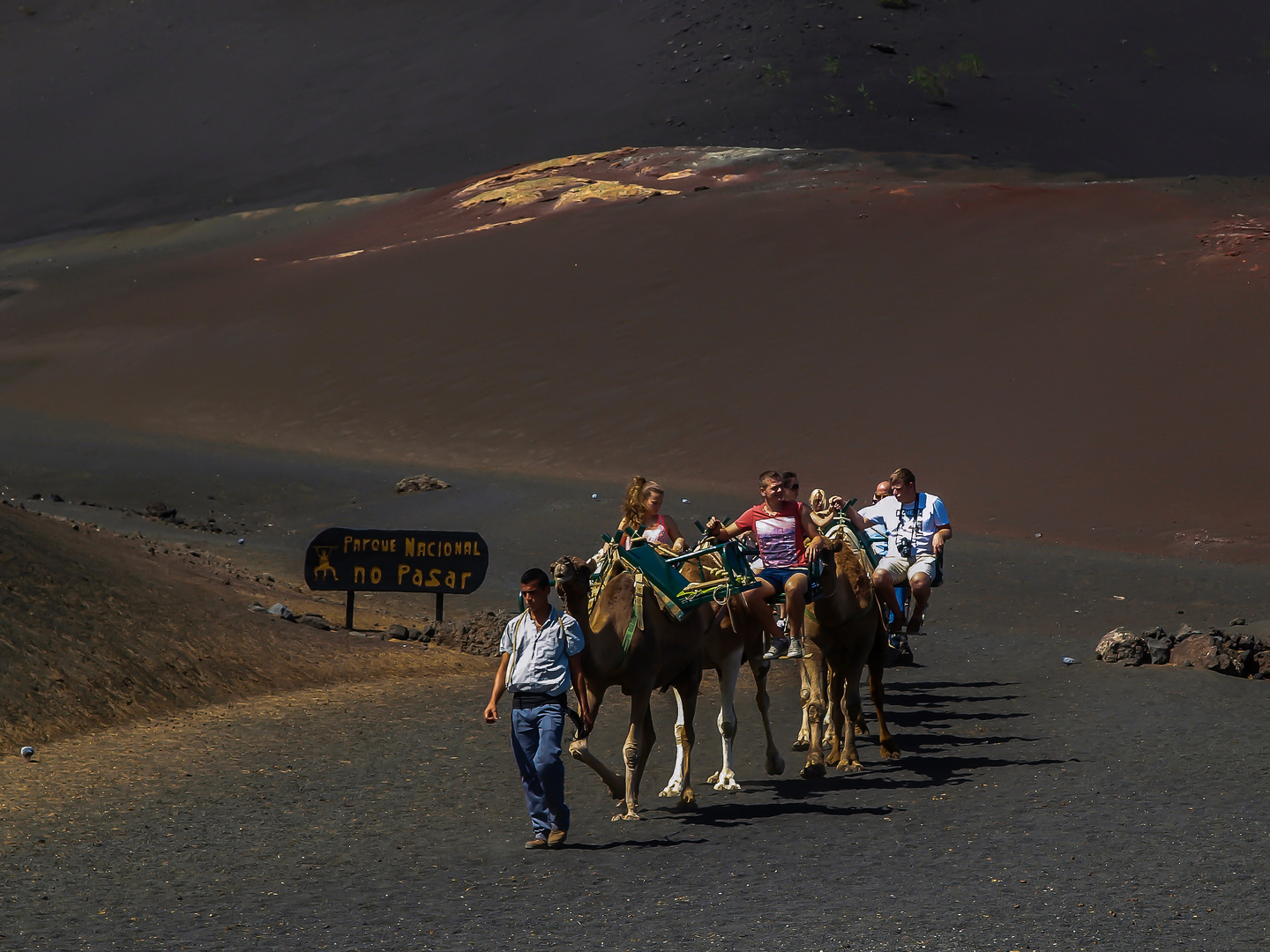 Schaukeltouristen / Turistas Columpio