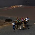 Schaukeltouristen / Turistas Columpio