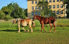 Schaulauf der Unterschiede